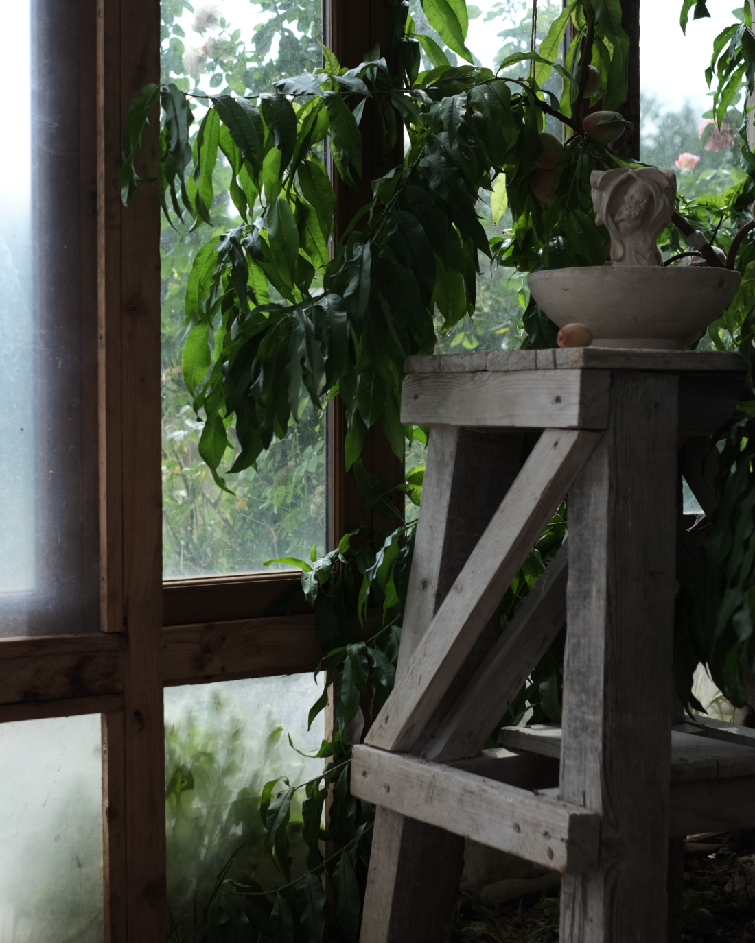 Plante et sculpture sur sellette dans une serre, immersion Piéplu en atelier