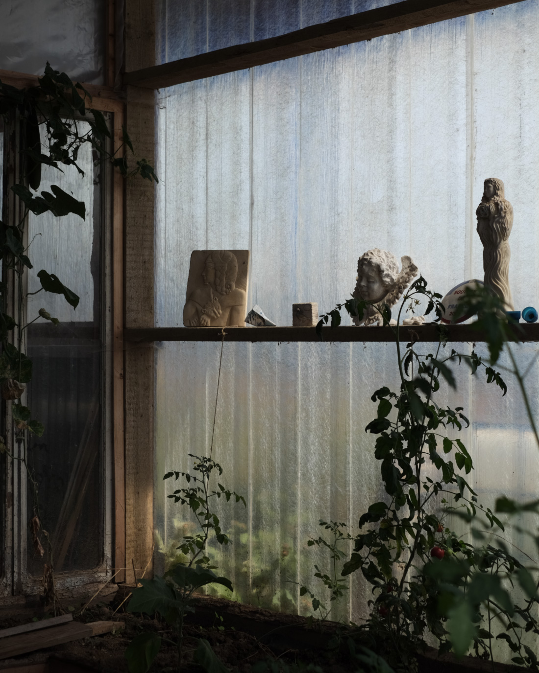 Étagère avec sculptures et pied de tomate en contre-jour, immersion Piéplu en atelier